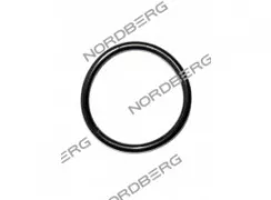 Прокладка ?41?3.1 для NORDBERG CMT6