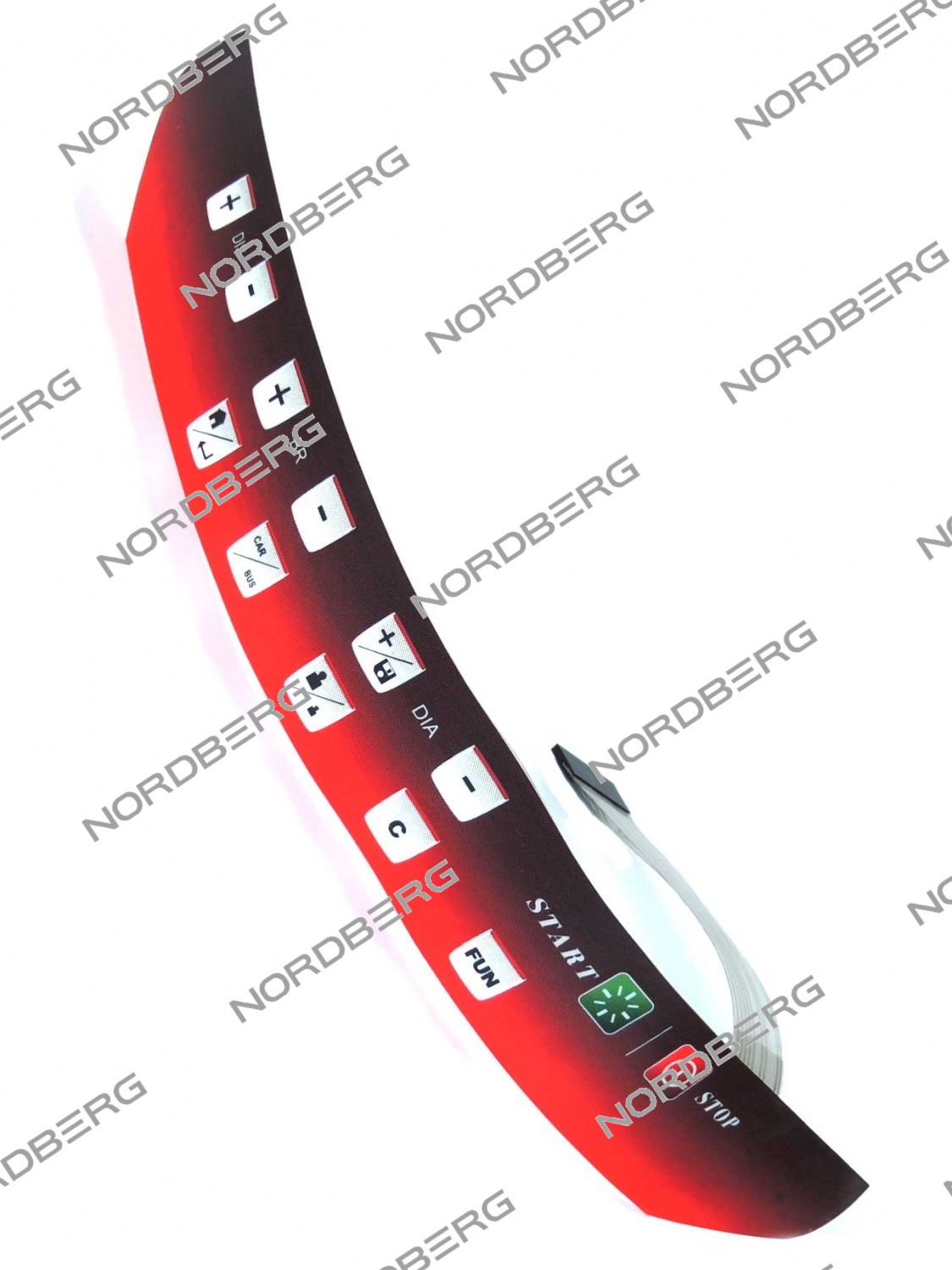 DSCN6295