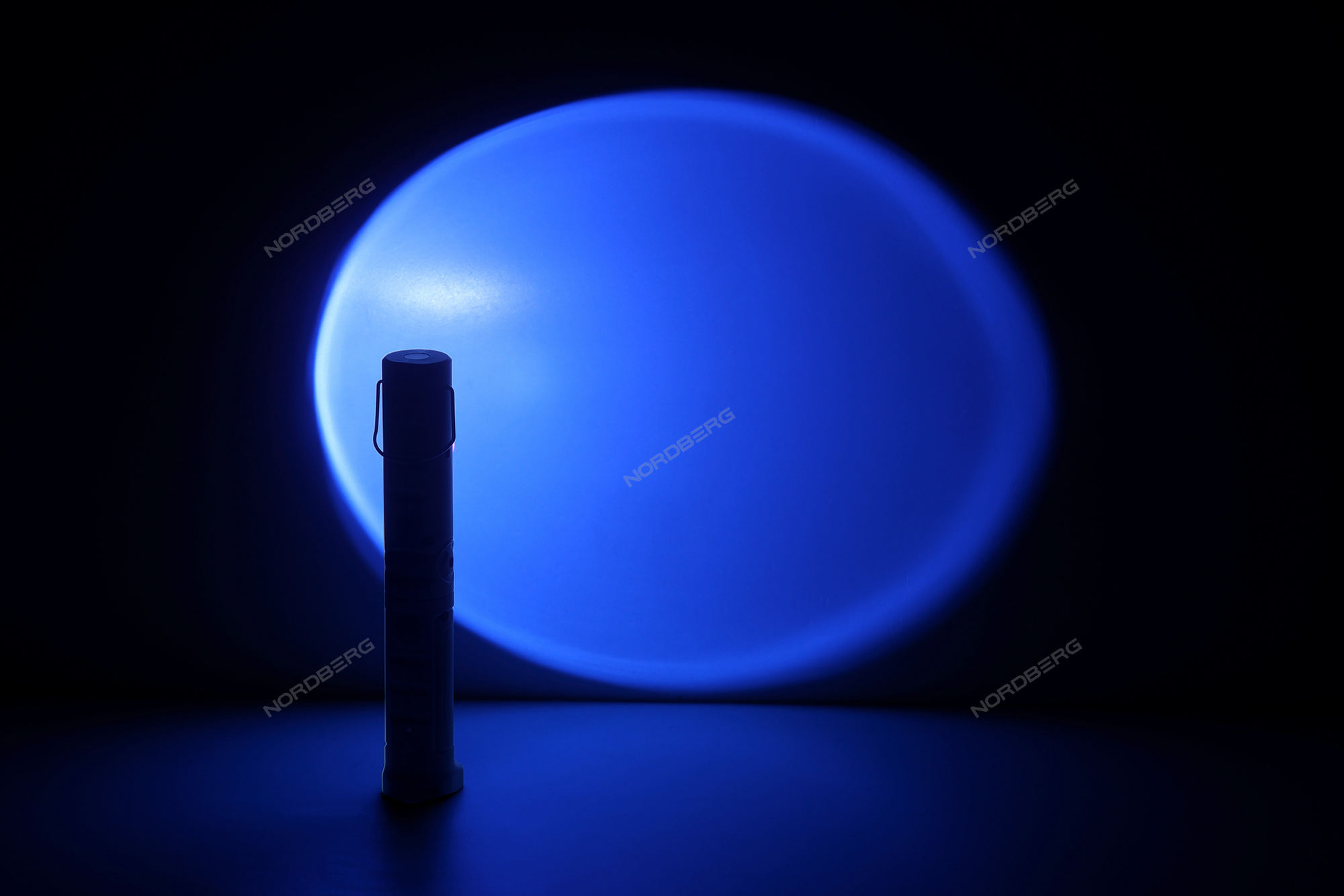ruuw36dvz0m1nbl7digbkj1y98lm1hni